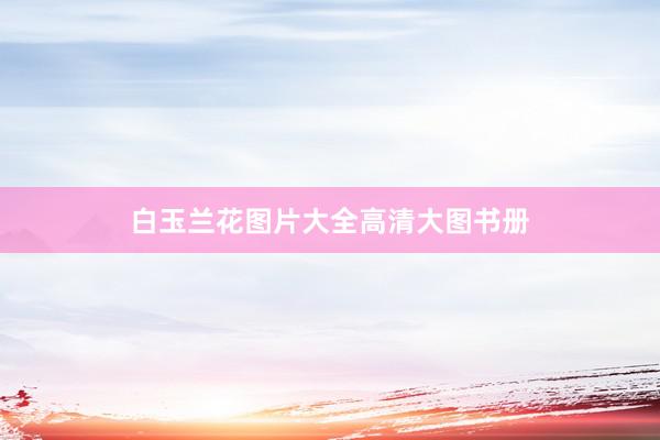 白玉兰花图片大全高清大图书册