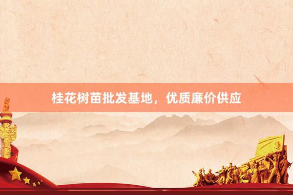 桂花树苗批发基地，优质廉价供应