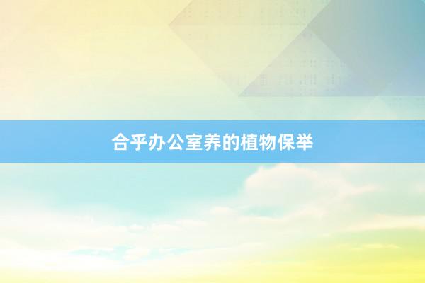合乎办公室养的植物保举